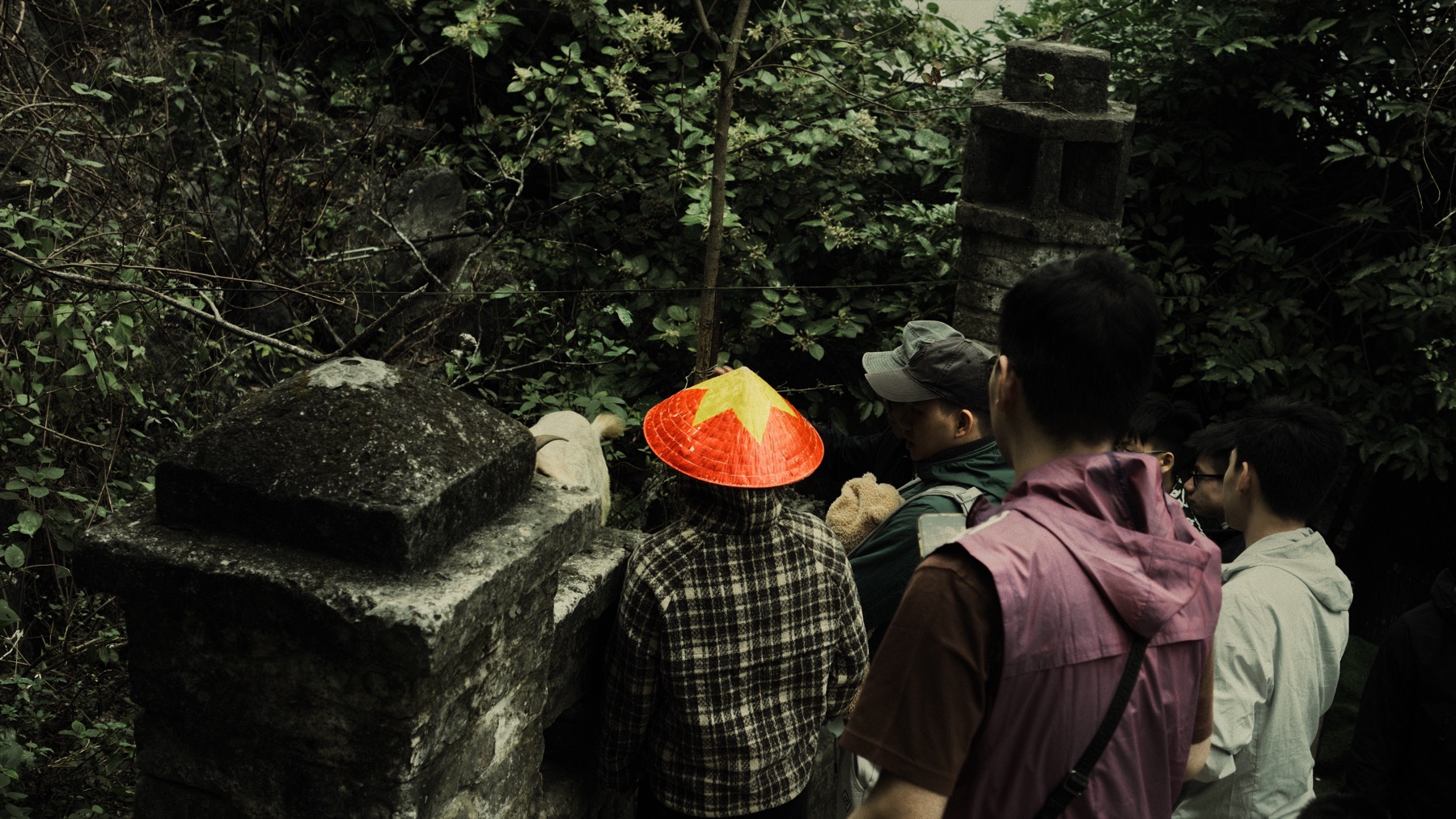 orange conical hat against dark green foliage